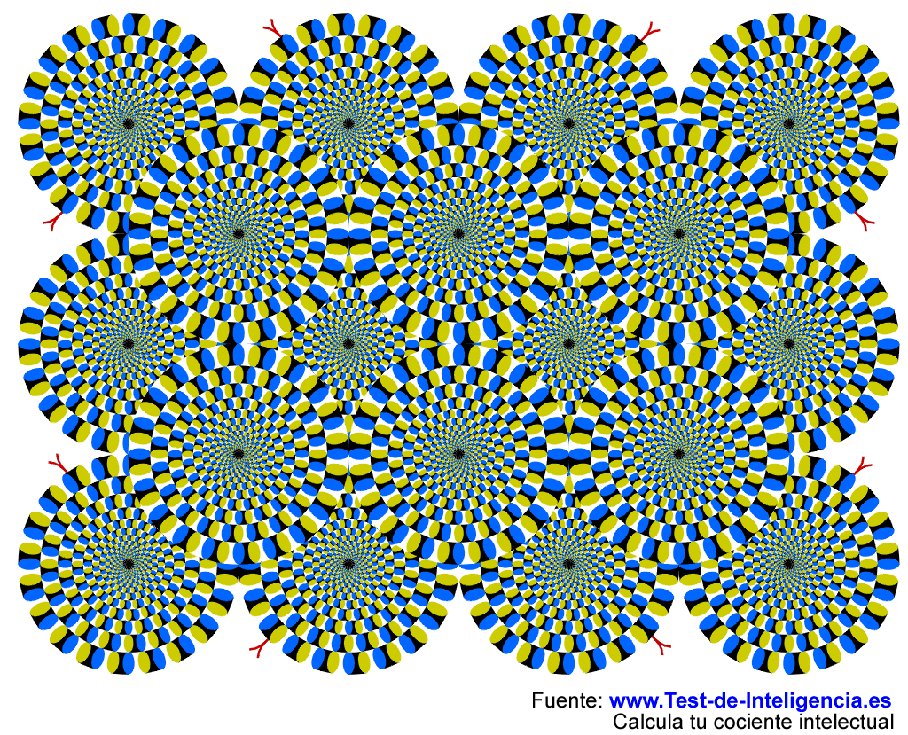 ilusion-optica-Akiyoshi-1024.gif