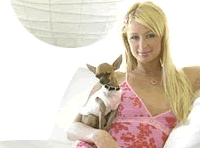Descubre el coeficiente intelectual de Paris Hilton